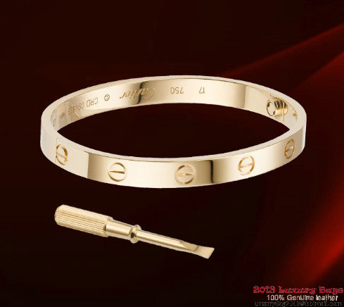 Cartier Bracelet CT007_2