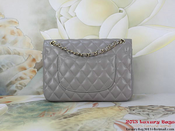 Chanel 2.55 Classic Flap Bag Gray Original Cannage Patterns Leather Gold Chanel 2.55 Classic Flap Bag Gray Original Cannage Patterns Leather Gold