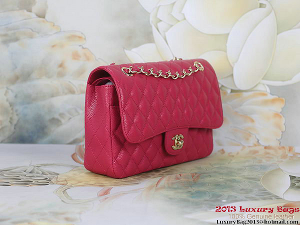 Chanel 2.55 Classic Flap Bag Rose Original Cannage Patterns Gold Chanel 2.55 Classic Flap Bag Rose Original Cannage Patterns Gold