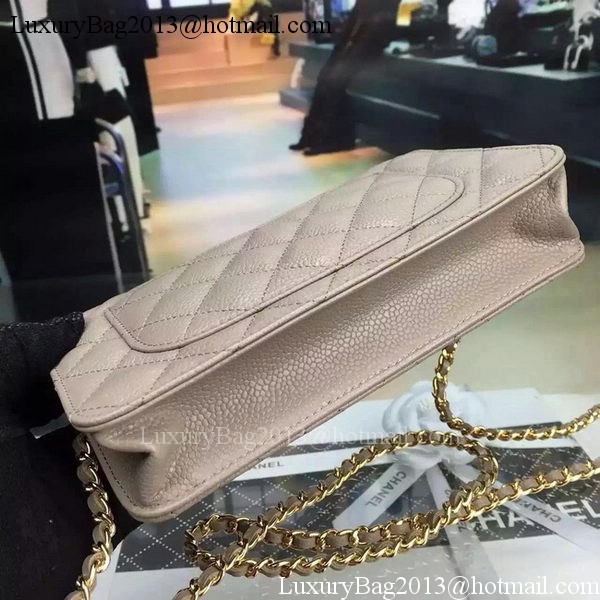 Chanel mini Flap Bag Cannage Pattern A8373 Grey Chanel mini Flap Bag Cannage Pattern A8373 Grey