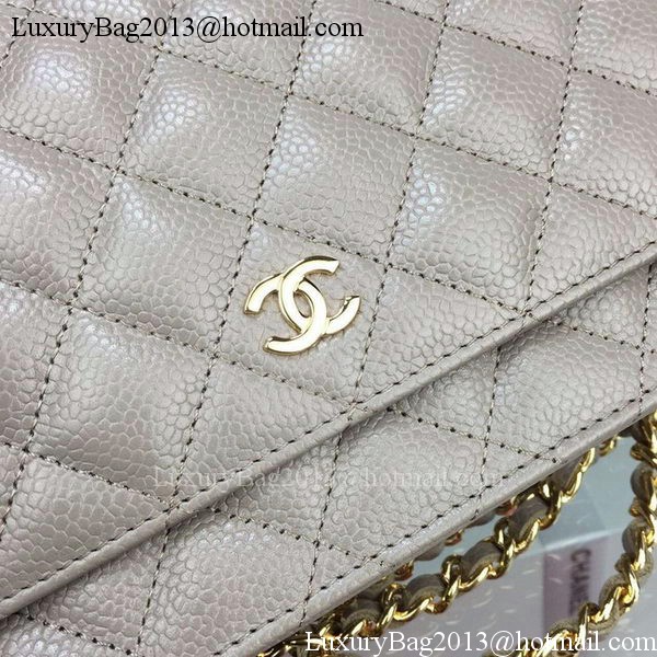 Chanel mini Flap Bag Cannage Pattern A8373 Grey Chanel mini Flap Bag Cannage Pattern A8373 Grey