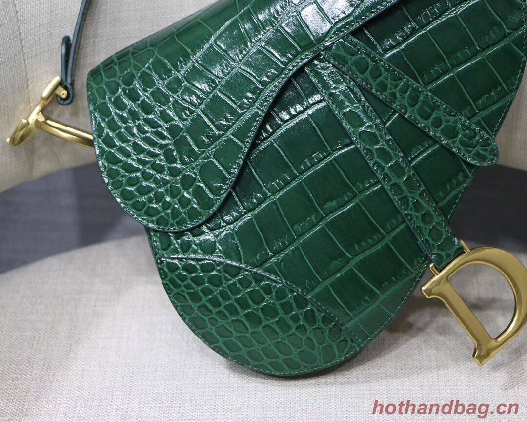 Dior SADDLE SOFT CALFSKIN BAG C9045 green
