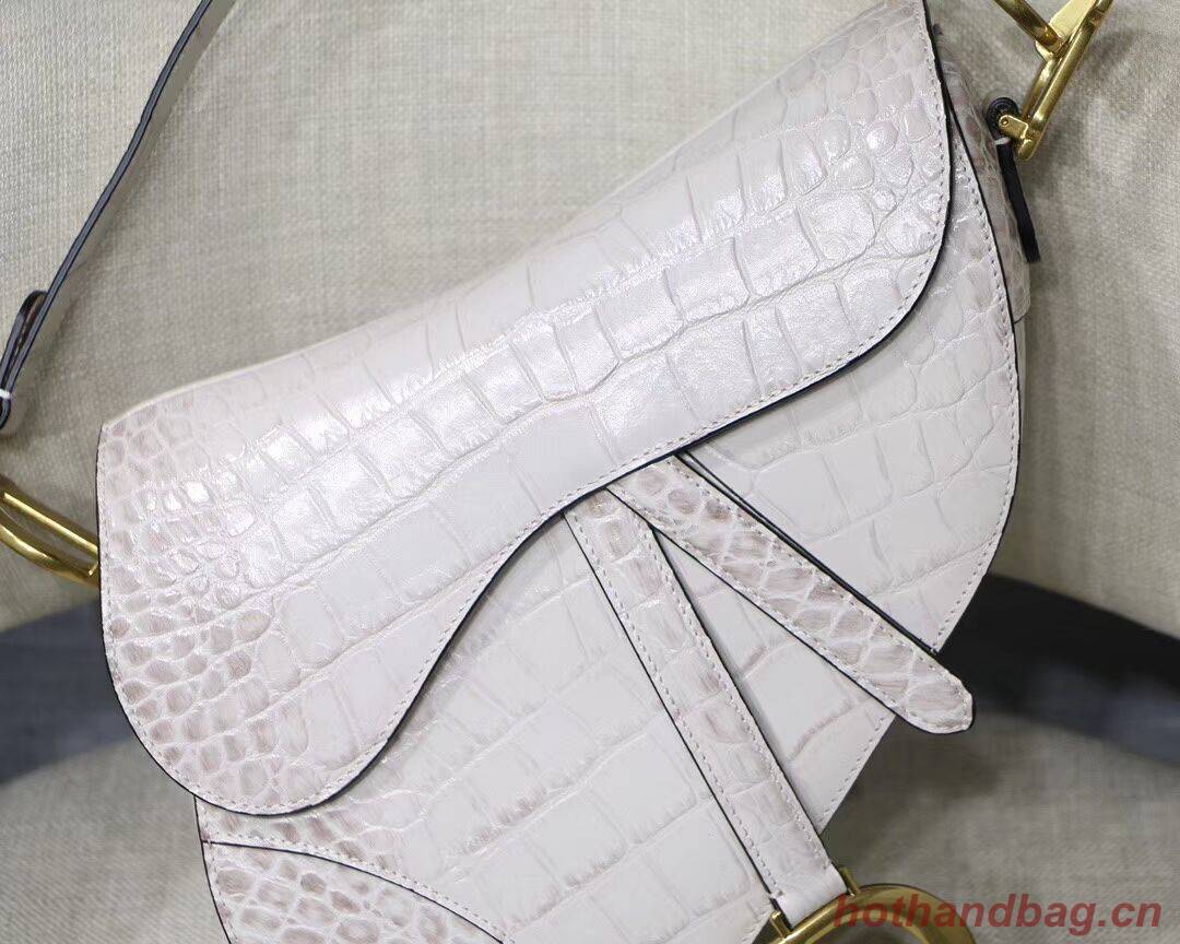 Dior SADDLE SOFT CALFSKIN BAG C9045 white Dior SADDLE SOFT CALFSKIN BAG C9045 white