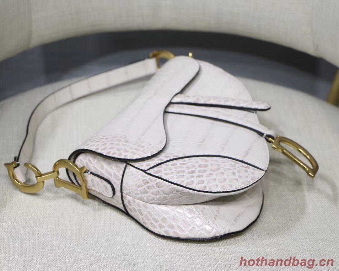 Dior SADDLE SOFT CALFSKIN BAG C9045 white Dior SADDLE SOFT CALFSKIN BAG C9045 white