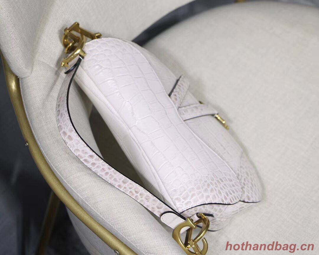 Dior SADDLE SOFT CALFSKIN BAG C9045 white Dior SADDLE SOFT CALFSKIN BAG C9045 white