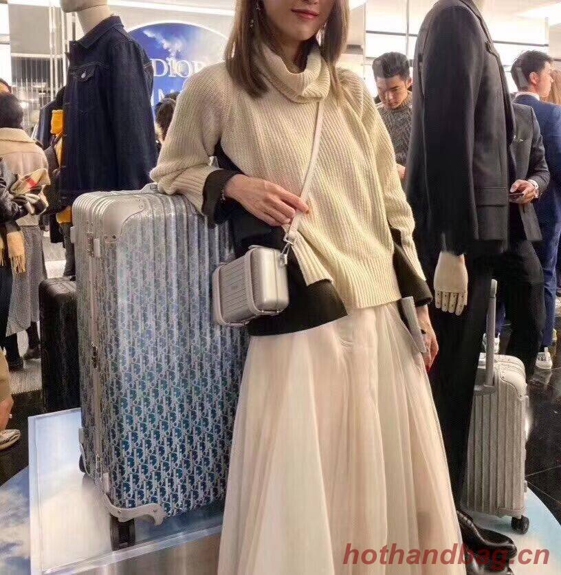 DIORAMA CALFSKIN CLUTCH M2020 silvery DIORAMA CALFSKIN CLUTCH M2020 silvery