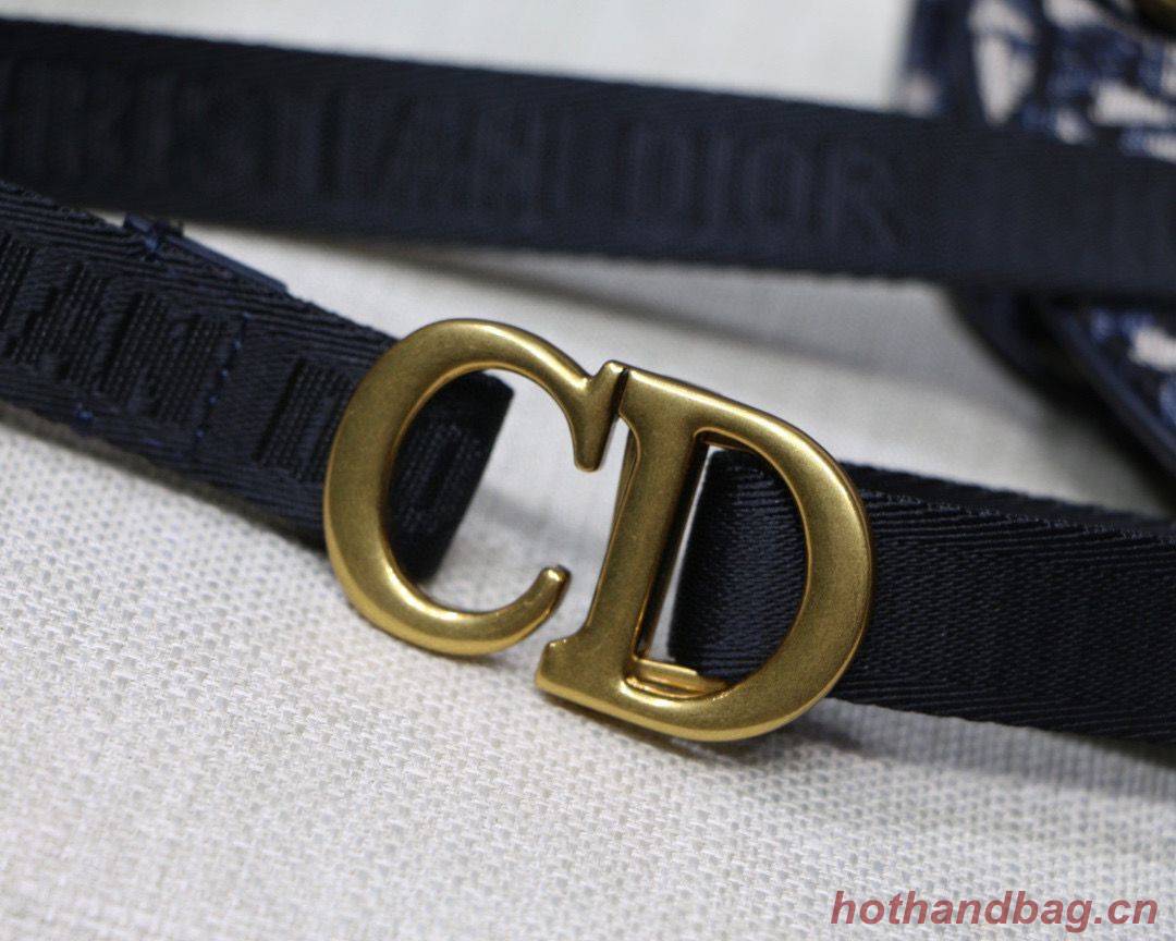 Dior Saddle Flat Belt Pouch Oblique Jacquard M0448 Blue Dior Saddle Flat Belt Pouch Oblique Jacquard M0448 Blue