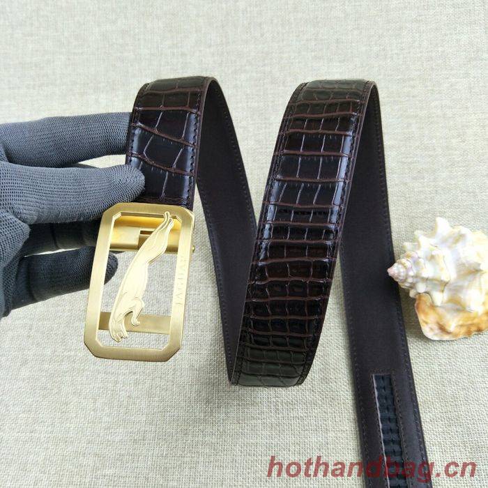 Jaguar Belt 34MM JAB00002-1 Jaguar Belt 34MM JAB00002-1