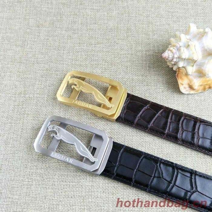 Jaguar Belt 34MM JAB00002-1 Jaguar Belt 34MM JAB00002-1