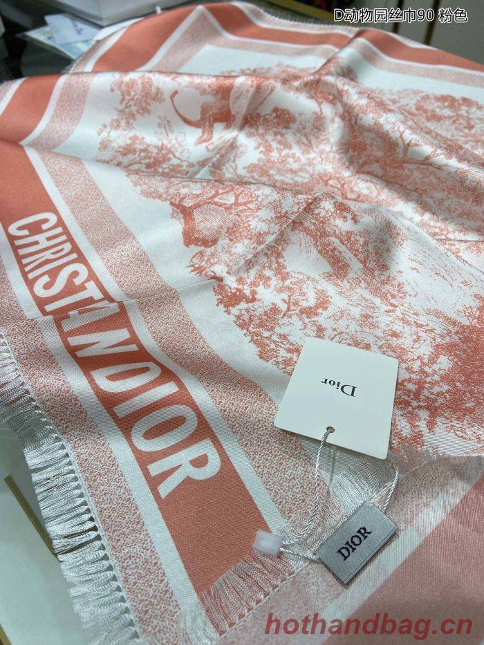 Dior Scarf DIS00025