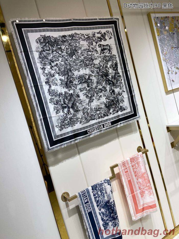 Dior Scarf DIS00026 Dior Scarf DIS00026