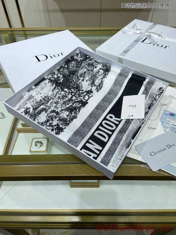 Dior Scarf DIS00026 Dior Scarf DIS00026