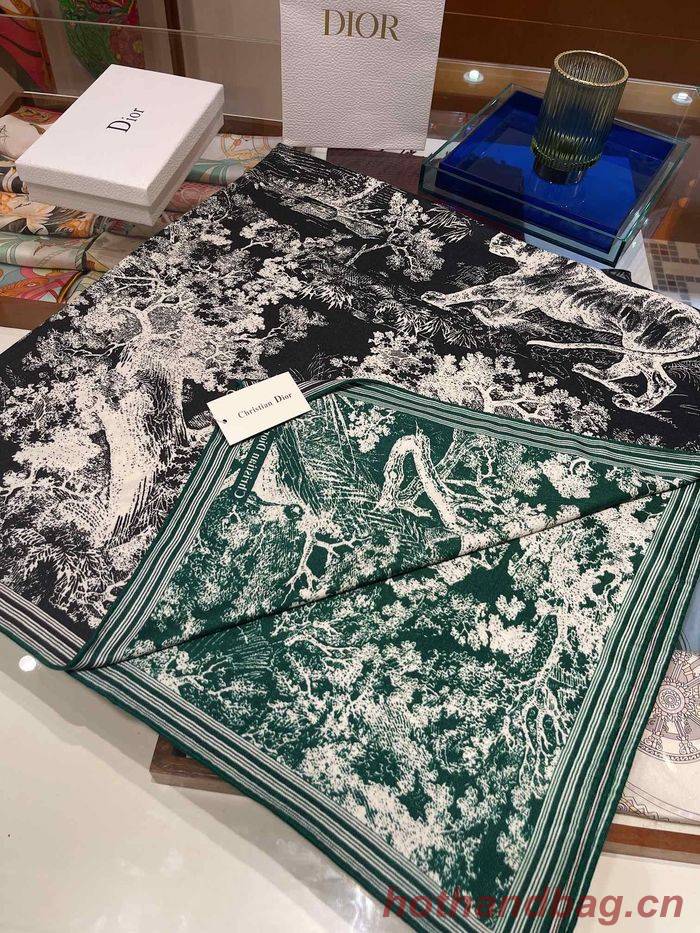 Dior Scarf DIS00071 Dior Scarf DIS00071