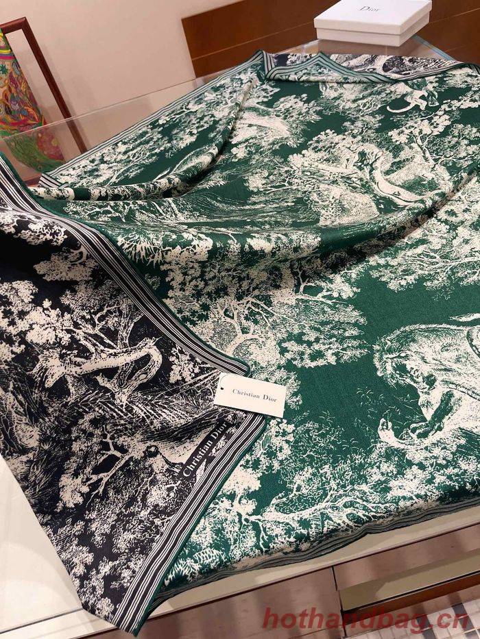 Dior Scarf DIS00071 Dior Scarf DIS00071