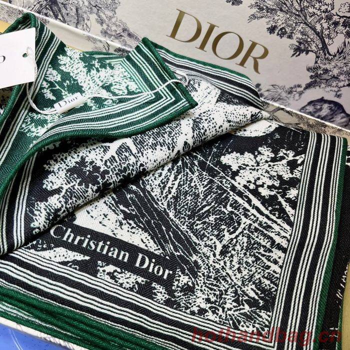 Dior Scarf DIS00071 Dior Scarf DIS00071