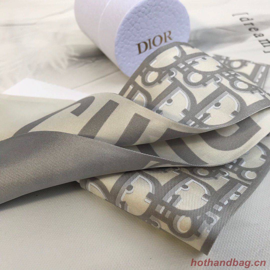 Dior Scarf DIC00019 Dior Scarf DIC00019