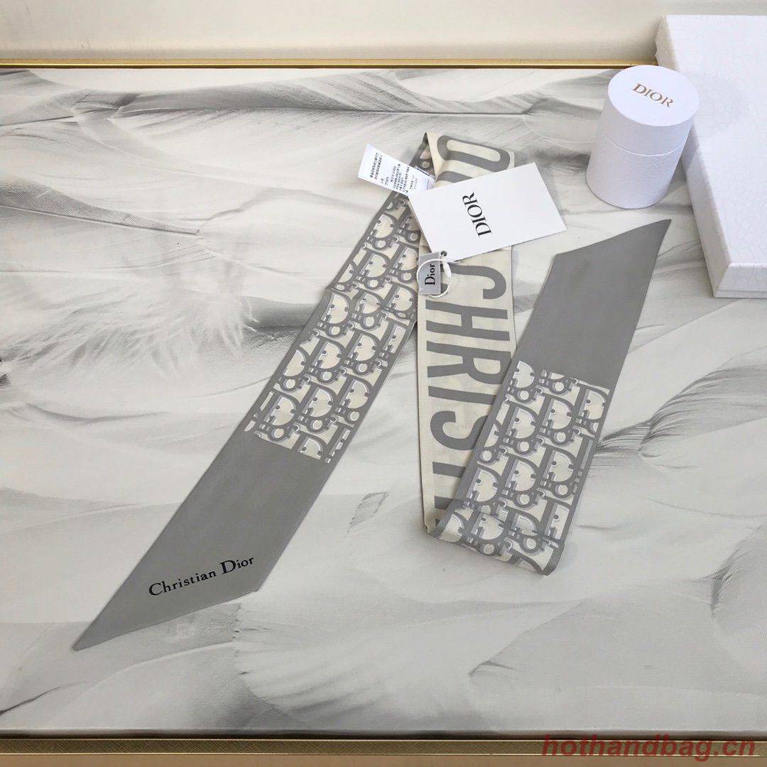 Dior Scarf DIC00019 Dior Scarf DIC00019