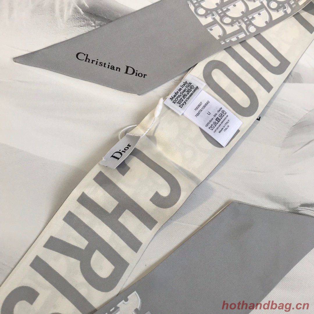 Dior Scarf DIC00019 Dior Scarf DIC00019