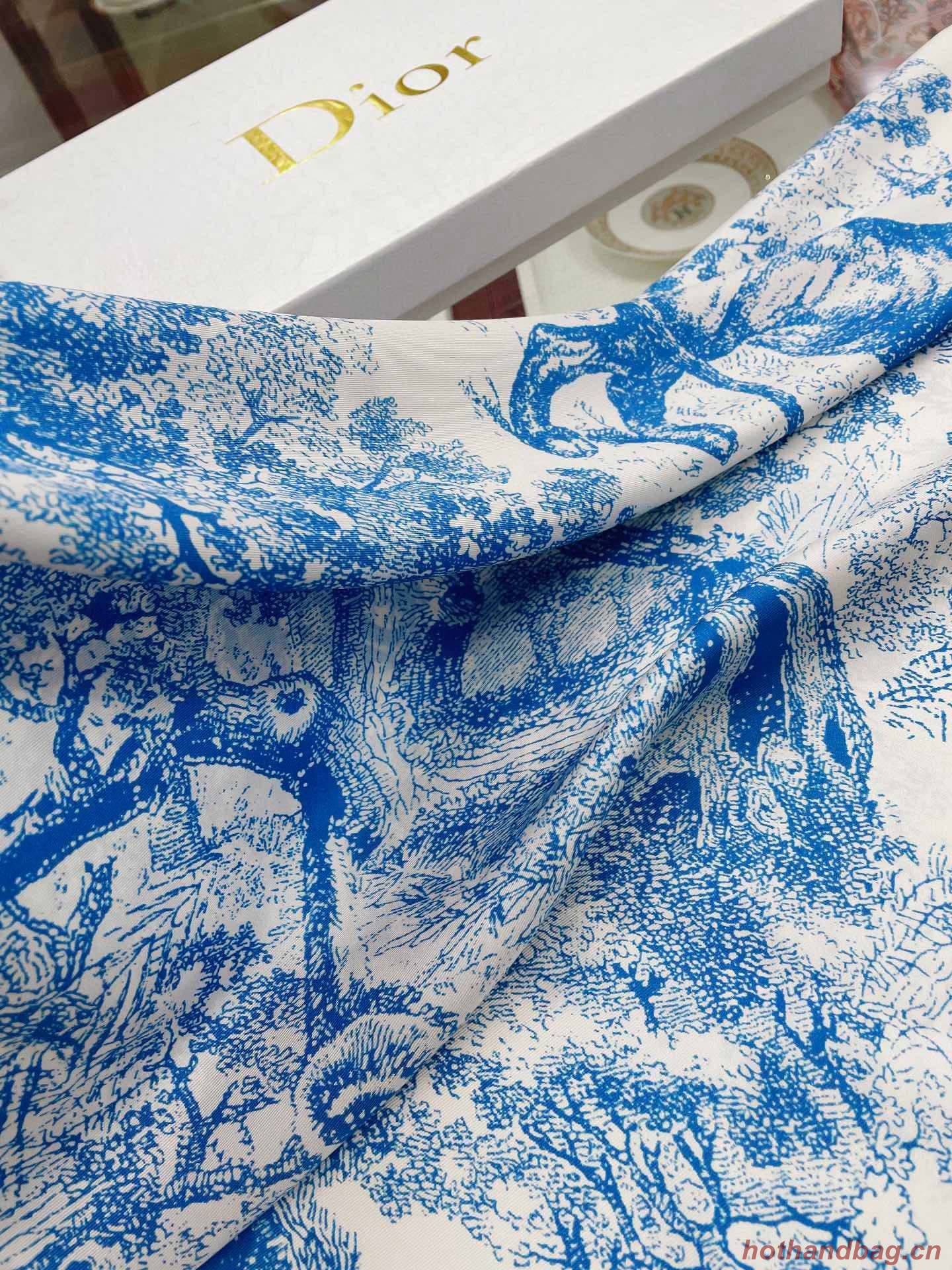 Dior Scarf DIC00063 Dior Scarf DIC00063