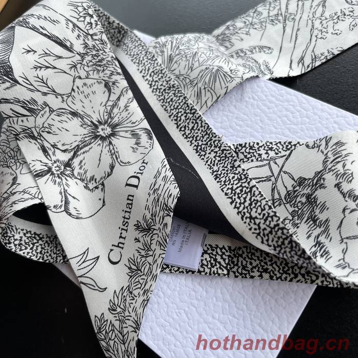 Dior Scarf DIC00152 Dior Scarf DIC00152