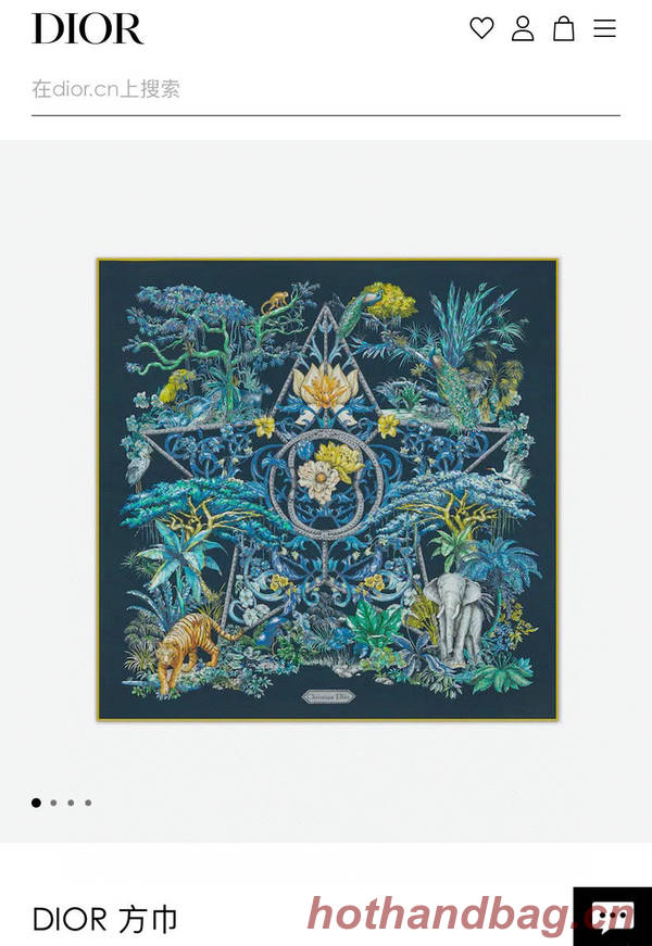 Dior Scarf DIC00288 Dior Scarf DIC00288