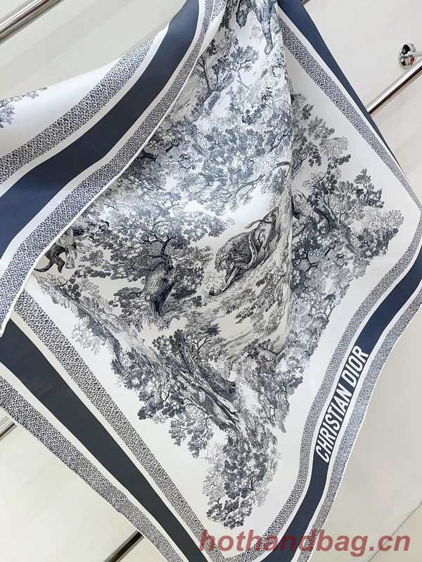 Dior Scarf DIC00331 Dior Scarf DIC00331