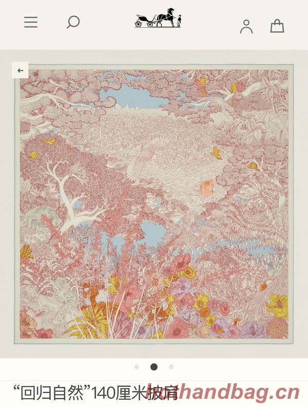 Hermes Scarf HEC00924 Hermes Scarf HEC00924