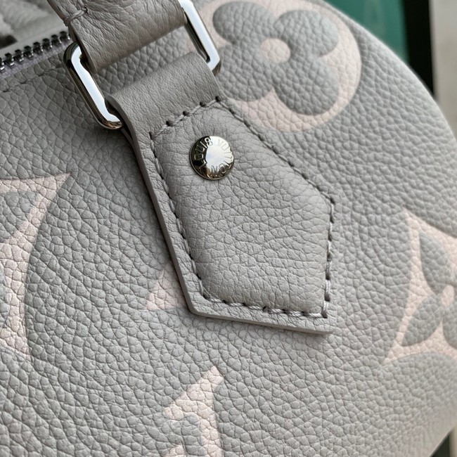 Louis Vuitton Speedy Bandouliere 20 M14207 Brume & Quartz