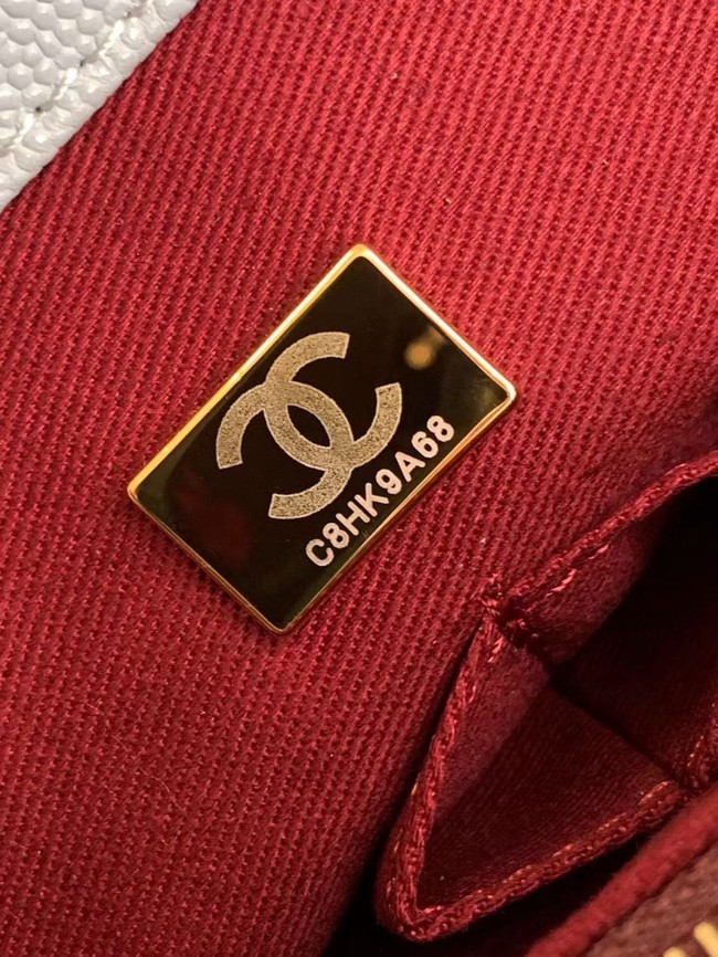 Chanel MINI FLAP BAG WITH TOP HANDLE AS2215-5