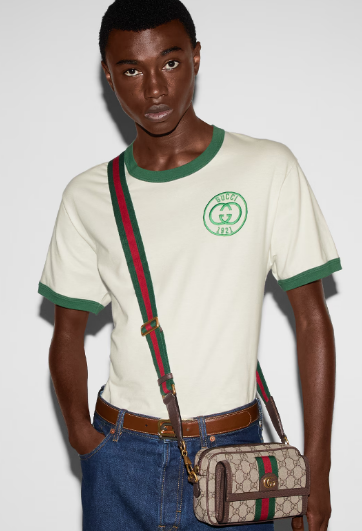 GUCCI OPHIDIA MINI BAG 746308 Brown