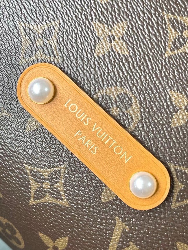 Louis Vuitton Vagabond Hobo M14018