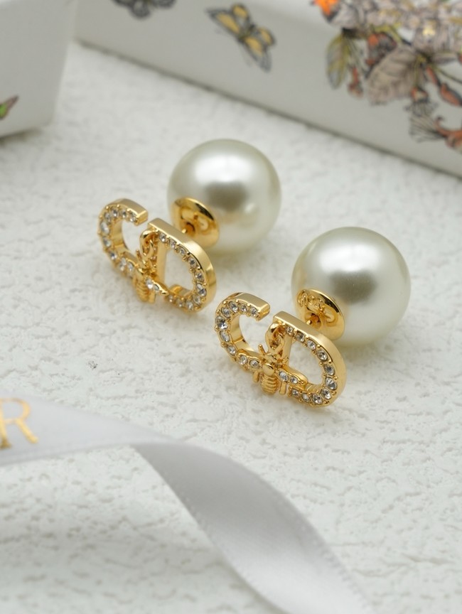 Dior Earring CE16634