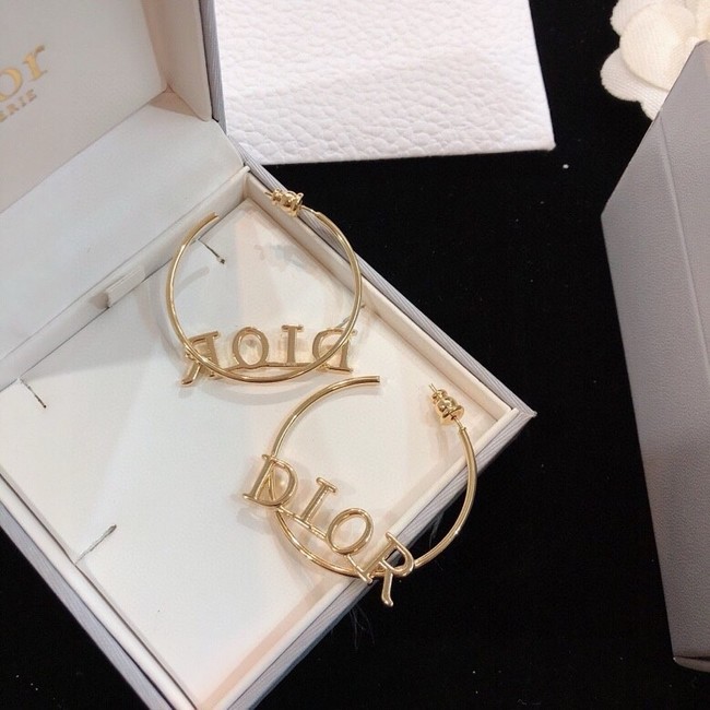 Dior Earring CE16719