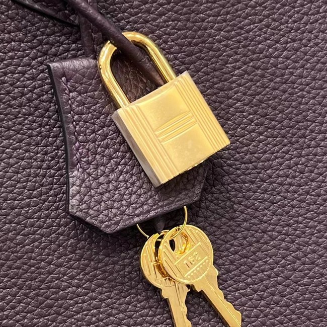 Hermes Birkin Bag Leather togo 5569 Chocolate