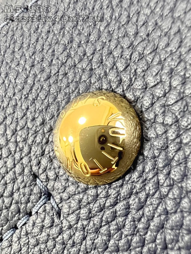 Louis Vuitton Carmel M14310 Navy