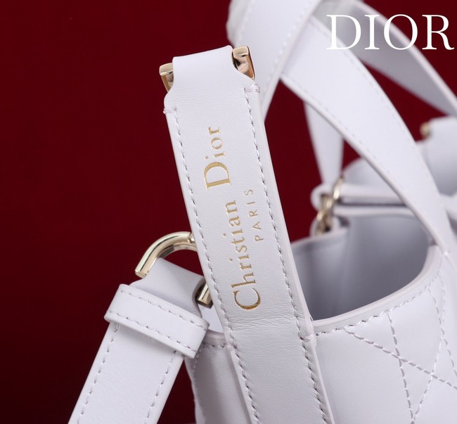 Small Dior Toujours Vertical Tote Bag M2835OSNW white