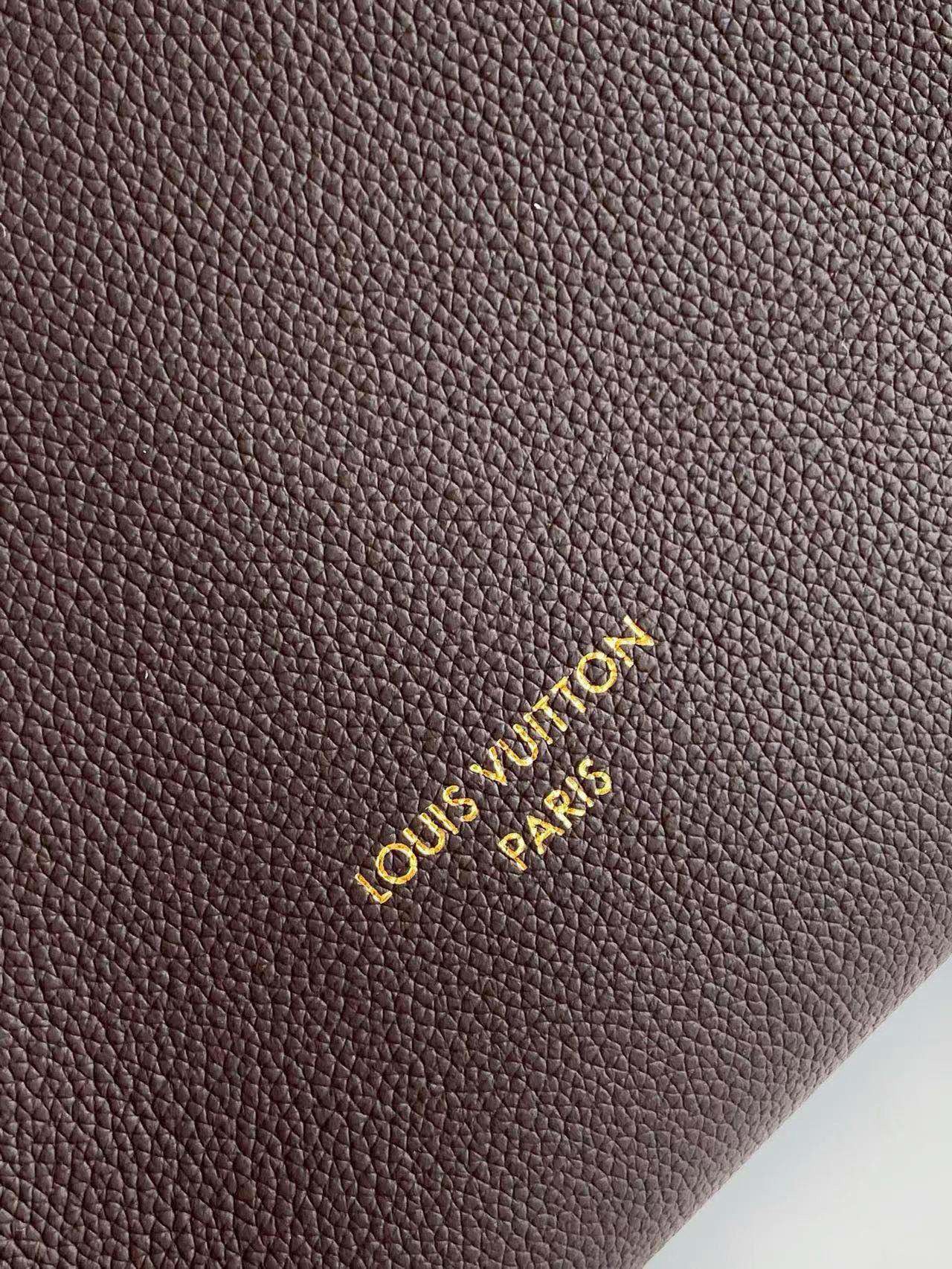 Louis Vuitton Low Key Hobo MM M25022 Coffee