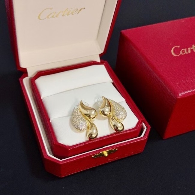 Cartier Earring CE81041