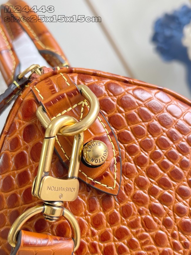 Louis Vuitton Speedy M24443 black