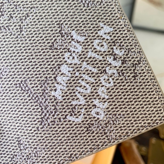 Louis Vuitton Passport Cover M26831 light gray