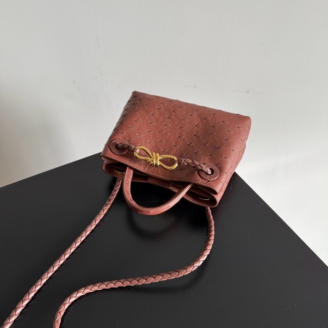Bottega Veneta Mini Andiamo Sapele 805232 Sapele