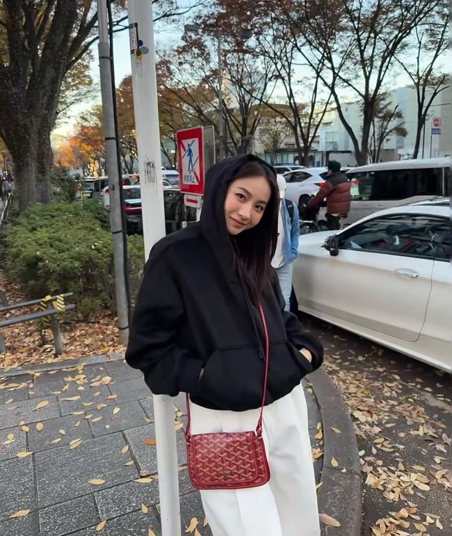 Goyard PLUMET crossbody bag TY43 red