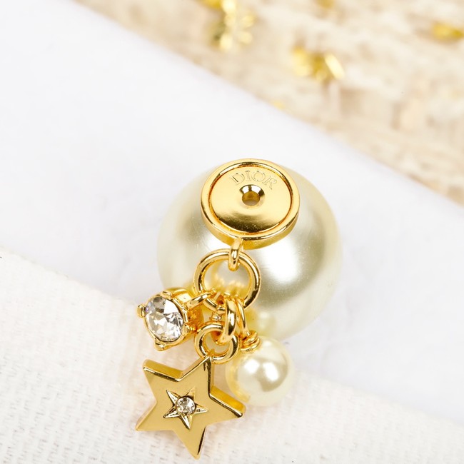 Dior Earring CE81877