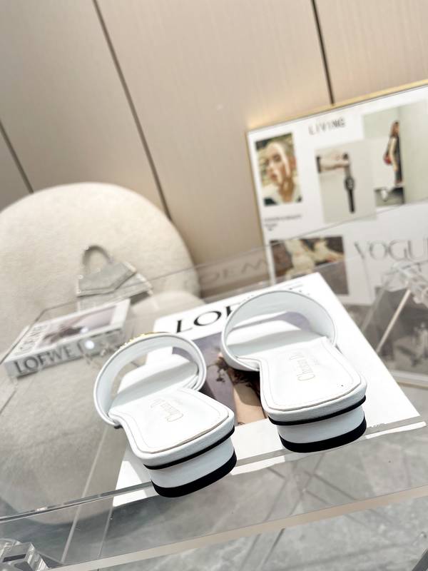 Dior Shoes DIS00504