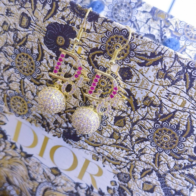 Dior Earring CE16311