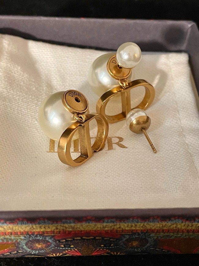 Dior Earring CE16596